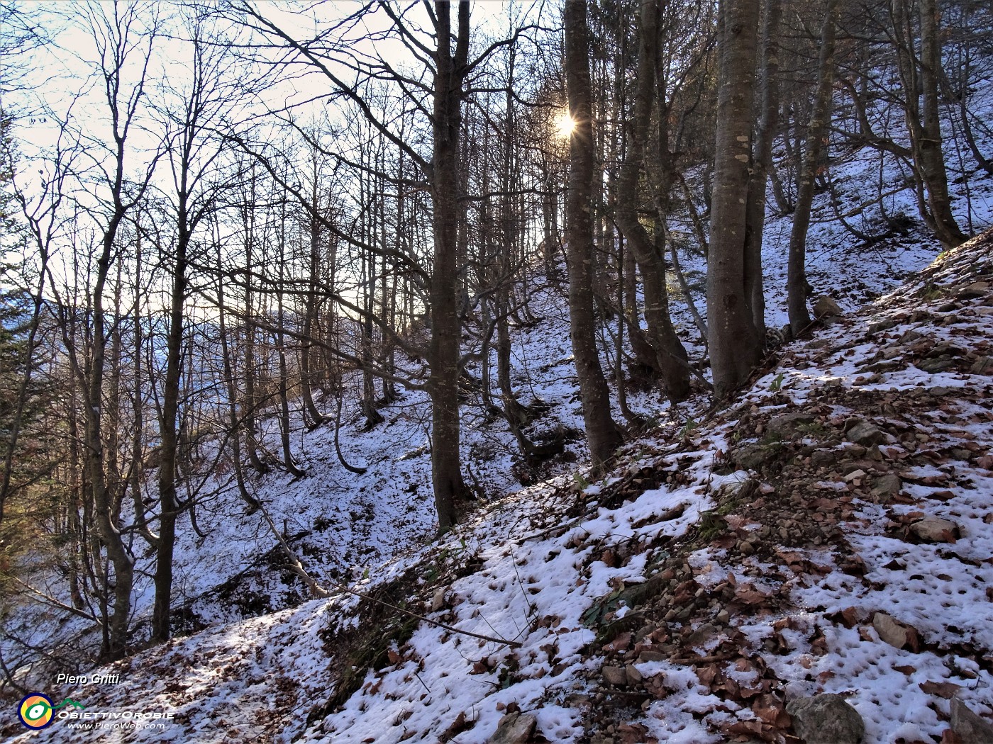 22 Oltre i 1600 m la pirma neve nella faggeta dove il sole non arriva a scioglierla.JPG